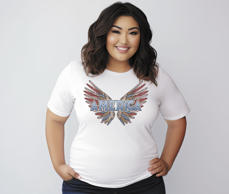 America wings