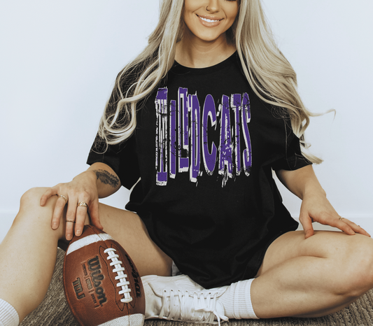 Kansas State Wildcats distressed